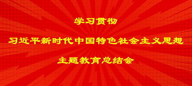 中央社會工作部召開全國性行業協會商會第二批學習貫徹習近平新時代中國特色社會主義思想主題教育總結會